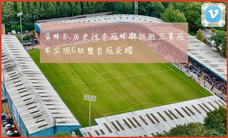 黄蜂队历史性夺冠蜂群战胜卫冕冠军实现G联盟首冠荣耀